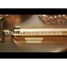 LIFTMIE GOLD PLATED MASSAGER