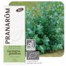 PRANAROM - ETERIČNO ULJE EUCALYPTUS GLOBULUS