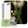 PRANAROM - ETERIČNO ULJE EUCALYPTUS RADIATA