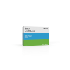 SALVIT GASTRICON KAPSULE 15x240mg