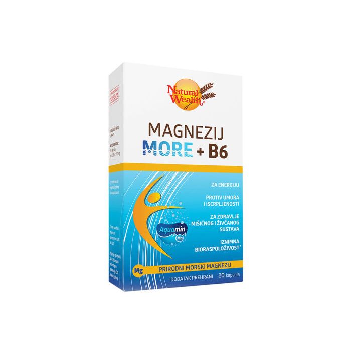 NATURAL WEALTH - MAGNEZIJ MORE+B6 KAPSULE 