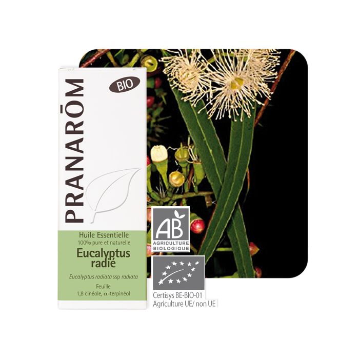 PRANAROM - ETERIČNO ULJE EUCALYPTUS RADIATA 1+1 GRATIS