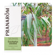PRANAROM ETERIČNO ULJE EUCALYPTUS LIMUNSKI 