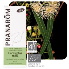 PRANAROM - ETERIČNO ULJE EUCALYPTUS RADIATA